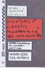 Etikette zu Cidnopus macedonicus (NHMW-ZOO-COL-0010812)